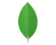 mongodb icon